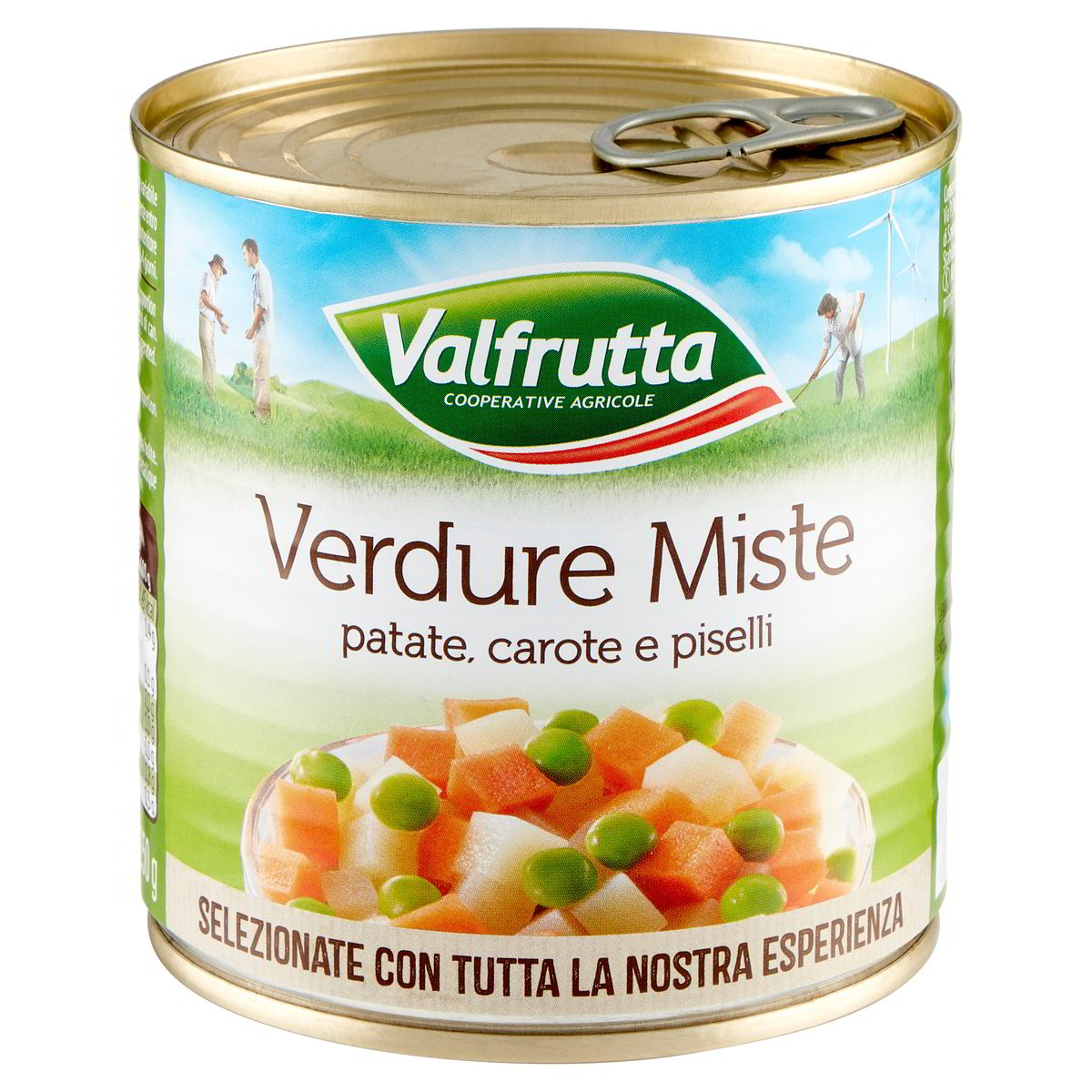Spazzola resinata con setole medie e manico lungo